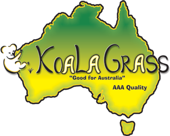 Koala Grass artificial lawn and synthetic turf suppliers in Perth